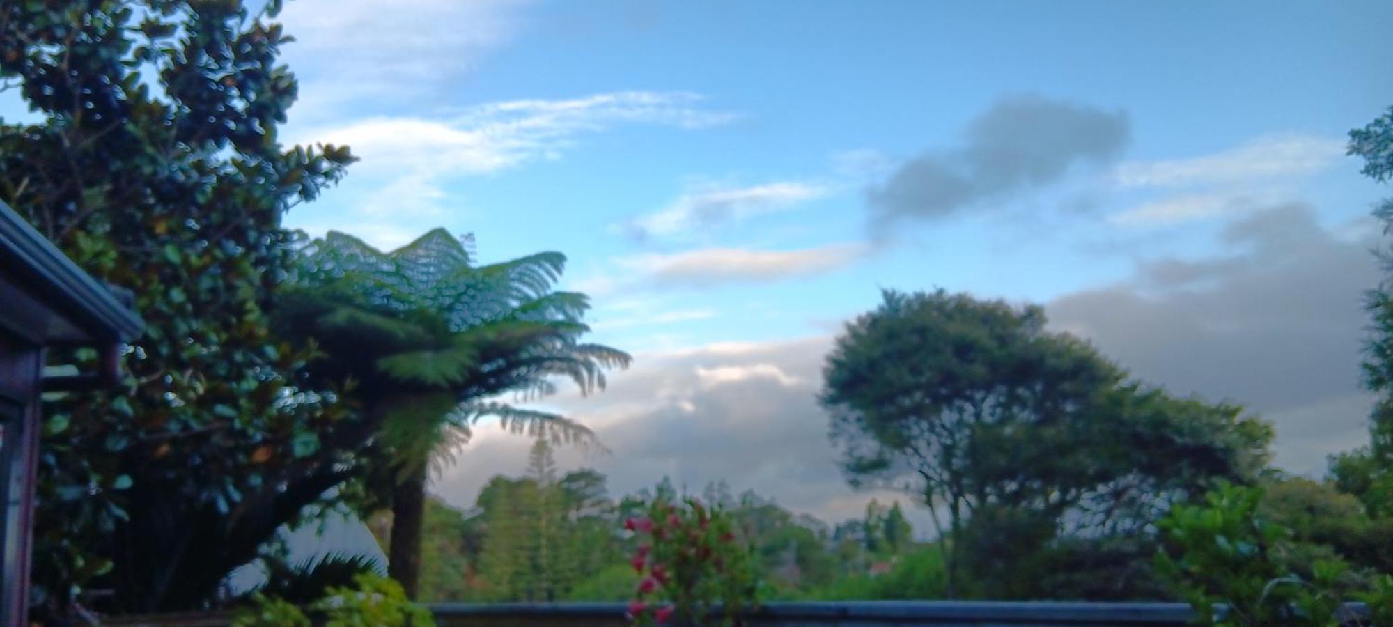 Tastebuds Bed N Breakfast Auckland Exterior foto