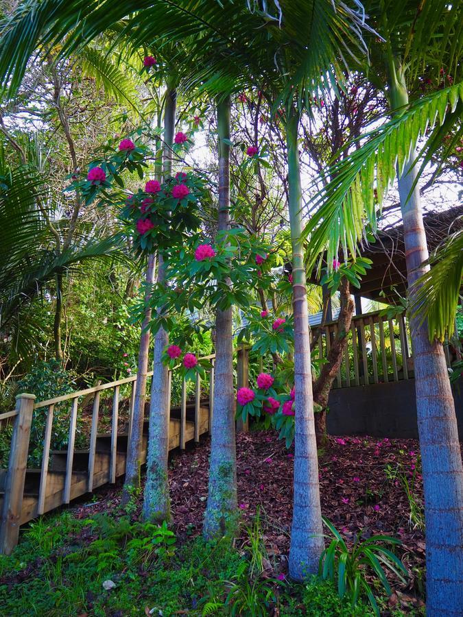 Tastebuds Bed N Breakfast Auckland Exterior foto